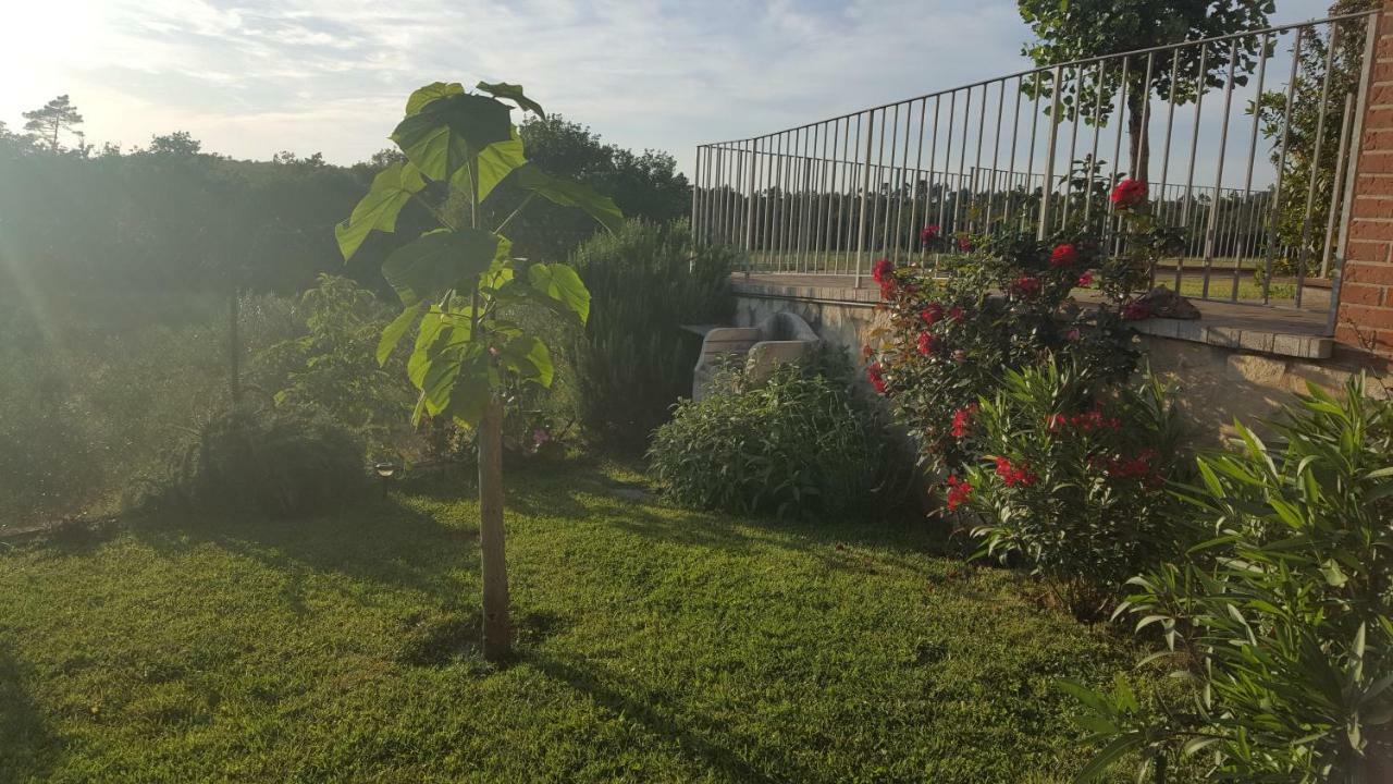 Casa La Pineta Villa Pievescola Екстериор снимка
